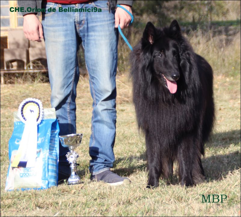 BIS Veteranos CHE. Orion De Belliamici.